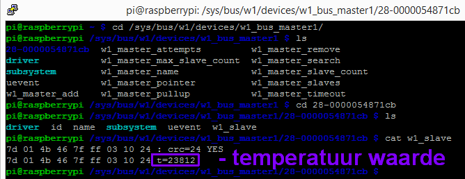 raspberry pi - DS18B20 uitlees voorbeeld